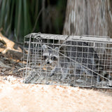 Qualirey 2 Pack 24'' Live Animal Trap Cage Cat Trap Cage Foldable Steel Humane Catch and Release Animal Trap for Groundhog Squirrel Raccoon Mole Gopher(Silver, 24.41 x 7.09 x 8.27 Inch)