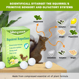 10 Pack Squirrel Repellent, Mouse Rodent Repellent for Car Engines, Peppermint Oil Squirrel Deterrent Pest Control Yard, Outdoor