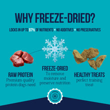 Load image into Gallery viewer, Stewart Chicken Liver Dog Treats, 16.8 oz, ~315 Pieces, Freeze Dried Raw, Single Ingredient, 60% Protein Training Treats or Meal Topper in a Value Size Resealable Tub, Grain Free, Gluten Free
