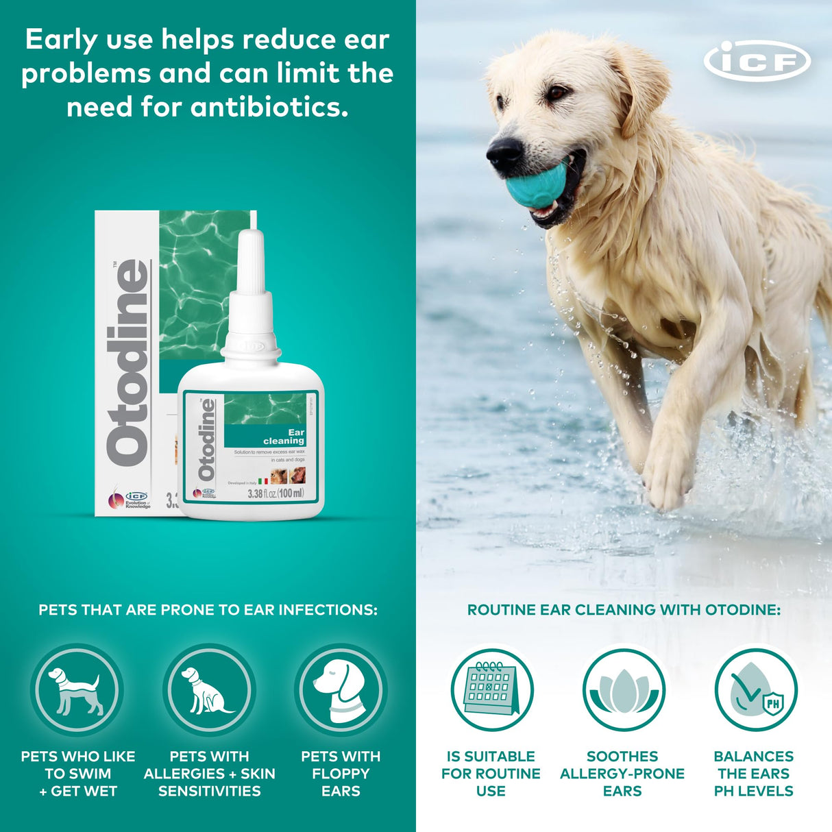 ICF Otodine Dog Ear Cleaner Solution - Veterinary Formula for Itchy Ears, Head Shaking & Scratching - Tris-EDTA Flush for Wax, Debris & Odor - Gentle & Safe for Cats & Puppies - 100ml