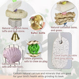 Parrot Chewing Toys (6 pcs) Natural Cuttlebone Bird Beak Trimmer Grinding Stone Lava Block Calcium Stone Bird Perch Cage Toys for Small and Medium Parakeets, Cockatiels, Conures, Budgies, Lovebirds