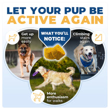 Load image into Gallery viewer, Jope Hip &amp; Joint Supplement for Dogs Large, Medium, Small - Joint Chews w/UC-II® Collagen - Proven Better Than Glucosamine Chondroitin in Canine Health - Veterinarian Formulated, Omega 3 &amp; Curcumin
