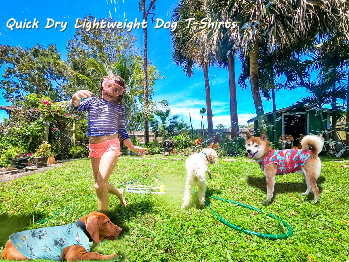 Y-blue Dog Summer Cooling Shirts,Sun Protection Quick Dry Mesh Breathable Medium Tee-Shirt,Red+Blue M