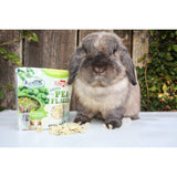 Exotic Nutrition Green Pea Flakes (1 lb.) - Healthy Natural Dried Vegetable Treat - for Rabbits, Guinea Pigs, Hamsters, Chinchillas & Other Small Pets