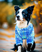 PET SHOW 4 Pack Small Dog Pajamas Cute Dinosaur Monster Clothes for Medium Dogs Soft Stretchy PJs Plaid Jumpsuit Puppy Tie Dye Onesies Outfits with Sleeve Pets Dachshund Costume(XXL, Blue for Boys)