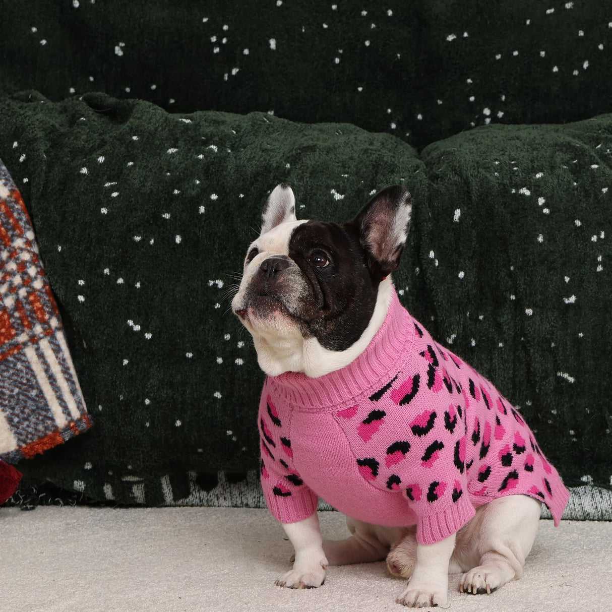 ROZKITCH Dog Sweater for Small Dogs, Cozy Cable Knit Turtleneck Winter Sweater, Warm Pet Clothes for Cat & Small Dogs West Highland White Terrier Pink M