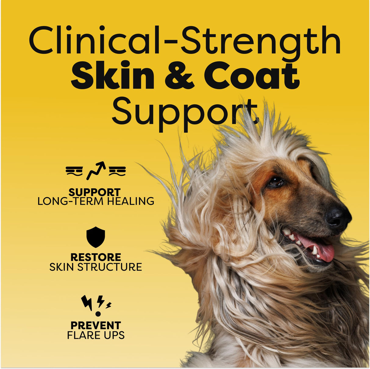 Medical-Strength Hair Skin & Nails Dog Chews | Vitamin A Retinol & B3 Niacinamide for Dogs | EPA Omega 3 for Dog | Relieve Itching, Flaky Skin & Brittle Nails | 90 Chews