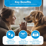 Replenish Dog Recovery Water Supplement – Pedialyte for Dogs Hydration Drink & Water Additive - Electrolytes for Dogs Hydration Supplement – 10 Packets Count
