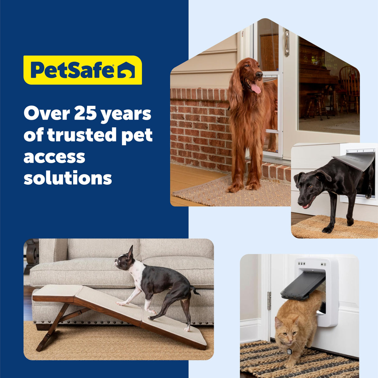 PetSafe CozyUp Sofa Ramp - Adjustable Height Anti-Slip Couch Access Ramp - Heavy Duty Carpet Cover for High Traction - Foldable & Easy to Carry - Older Pet Climbing Aid - Espresso Wooden Finish
