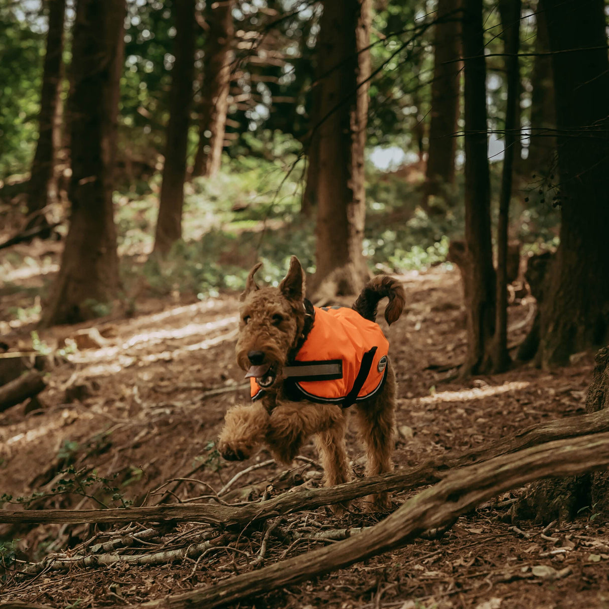 WeatherBeeta ComFiTec Reflective Parka 300D Dog Coat, Orange, 28"