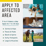Real Time Pain Relief Pet Formula - 4oz Spray Bottle | Vet Recommended Relief for Pets | 16 Natural Ingredients Including Menthol, Aloe Vera, and Arnica | Gentle Cooling Sensation | Easy Application
