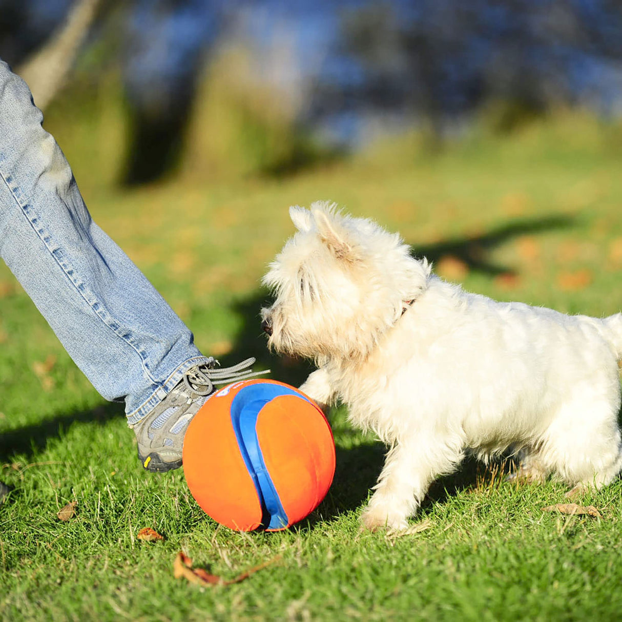 Chuckit! Kick Fetch Ball Dog Toy - Floats in Water - Perfect for Interactive Play - Made with Durable Rubber and Foam - For Large Dogs - Size Large - 8-inch Diameter - Pack of 1
