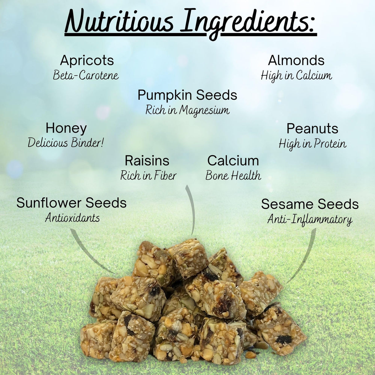 Exotic Nutrition Squirrel Beneficial Blocks - Healthy & Unique Supplemental Food with Nuts & Seeds, 20 oz