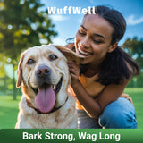 WuffWell Super Greens Powder for Dogs – Spirulina, Chlorella, Moringa, Glucosamine & Turmeric – Joint, Immune & Skin Support – Beef Flavor – Natural Dog Supplements – Vet Approved – Made in USA