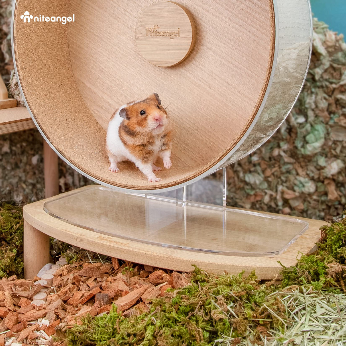 Niteangel Anti-Slide Hamster Wheel Platform - Fits for Niteangel Super-Silent Hamster Wheel | Acrylic Wheel | Wooden Wheel | Cloud Series Wheel (Medium)