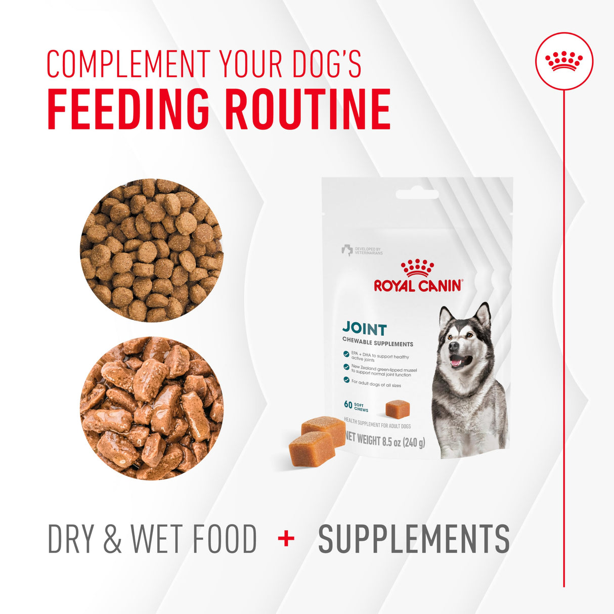 Royal Canin Joint Dog Supplement Soft Chews for Adult Dogs, 60 Count