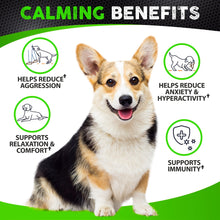 Load image into Gallery viewer, Hemp Calming Chews for Dogs Anxiety - 170 Dog Calming Chews - Anxiety Relief Treats - Dog Calming Treats - Hemp Oil - Sleep Calming Aid - Advanced Calming Health Joint Support Supplement - Made in USA

