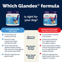 Load image into Gallery viewer, Vetnique Glandex Anal Gland Soft Chew Treats with Pumpkin for Dogs Digestive Enzymes, Probiotics Fiber Supplement for Dogs Boot The Scoot (Bacon Flavor Chews, 60 Count)
