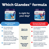 Vetnique Glandex Anal Gland Health Soft Chew Treats with Pumpkin for Dogs Digestive Enzymes, Probiotics Fiber Supplement for Dogs Boot The Scoot (Advanced Strength Duck/Bacon Chews (Veg), 30 Count)