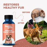 Dog Mange Support and Natural Dog Itching Relief for Canine Coat Issues & Puppy Mange, Soothes Dry Itchy Scaly Skin, Welts & Scabs - Helps Restore Fur Loss (Easy Use 400 Tiny Pills)
