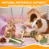 Kagoty 40 PCS Hamster Toys Set, Guinea Pig Toys Enrichment Hamster Tubes and Tunnels, Rat Enrichment Toy with Bridge, Seesaw, Swing, Ball for Gerbils, Chinchillas, Dwarf and Syrian Mouse