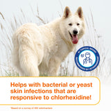 Douxo S3 Pyo Pads, Contains 3% Chlorhexidine & 0.5% Ophytrium, Antiseptic & Hydrating, For Bacterial or Yeast Skin Infections, For Dogs and Cats, 30 Pads