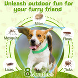 Trihood Natural Flea & Tick Prevention Dog Collars – 2-Pack Adjustable Waterproof Collars with Essential Oils (Lemon Eucalyptus, Citronella, Lavender, Linalool), Safe for All Breeds