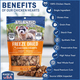Freeze Dried Small Pet Treats - Resealable Bag of Treats for Ferrets - Ferret Snacks - Single Ingredient Ferret Food With No Preservatives Or Fillers- Small Animals Treats (1oz, chicken Heart)