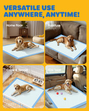 Load image into Gallery viewer, 50-Pack Extra Large Pee Pads - 34" x 28" Puppy Pads for Dogs with 6-Layer Leakproof Protection, Disposable and Quick-Dry Dog Pads with High Absorbency for Easy Potty Training
