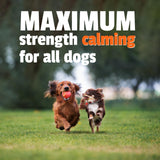 Pet Naturals BusyButter Extra Strength Calming Peanut Butter for Dogs - Great for Dog Toys, Lick Mats, Training, Calming Treats, Dog Anxiety Relief, Grooming, Treats and More - 1 6oz Pouch