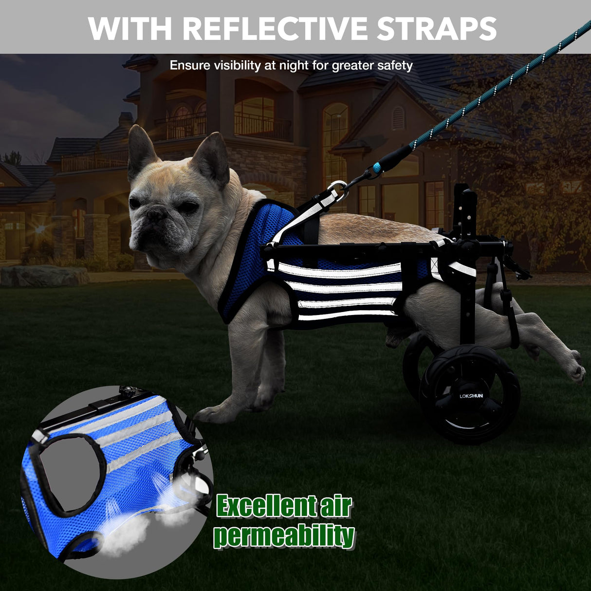 LOKSHUN Small Dog Wheelchair for Back Legs, Adjustable Rear Leg Mobility Support for Small Dogs up to 22 lbs, Lightweight Dog Mobility Cart with Harness, Heavy-Duty Wheels & 5ft Leash (Blue-XS).