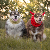 Zoo Snoods Frog Costume - Knit Dog Snood Ear Wrap for Pets, Warm Neck Cover for Halloween and Winter (Medium)
