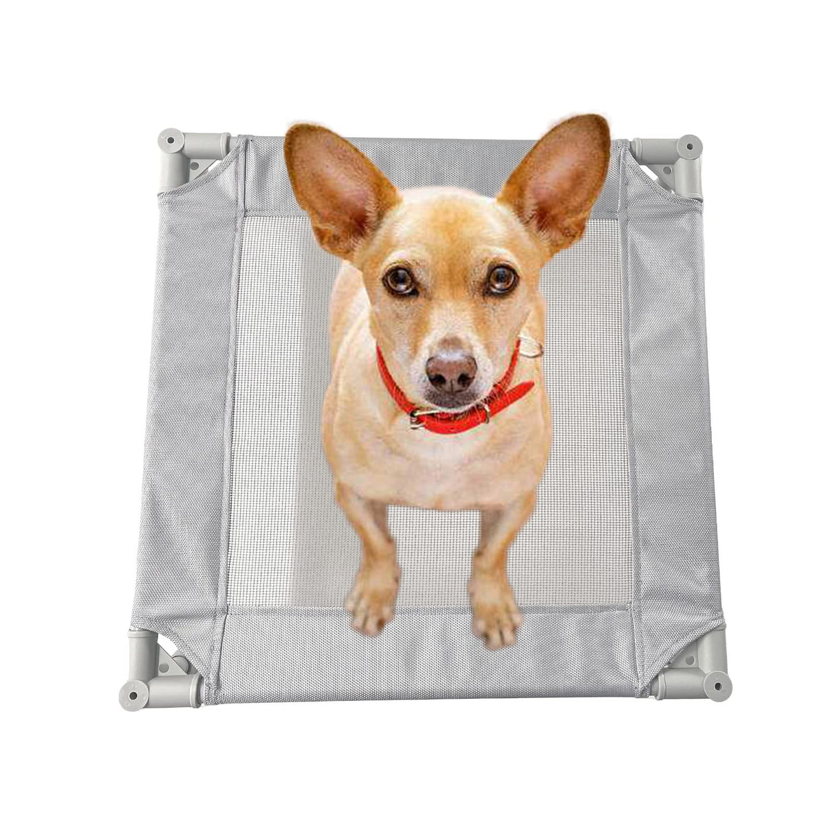 Pozico Elevated Pet Bed with Breathable Mesh for Small Cat and Dog, Raised Cooling Pet Cot for Puppy and Kitty, 18.9x18.9 inch (Gray Bed)