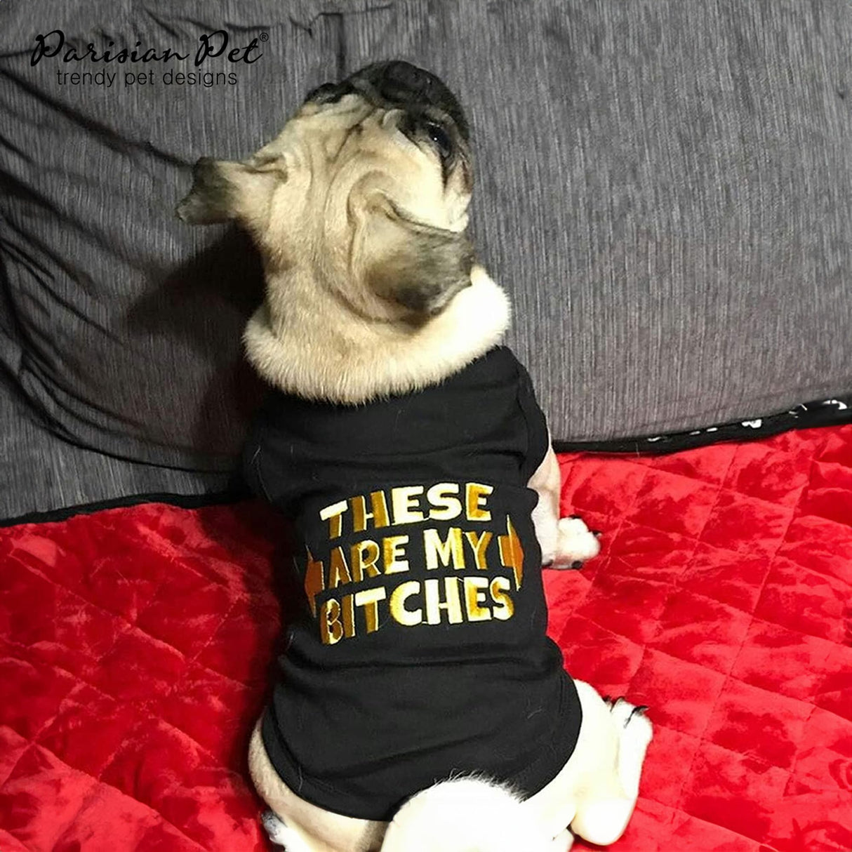 Parisian Pet Dog Shirt – 100% Cotton My Bitches Shirts for Large Dogs – Black Sleeveless Puppy Clothes – Lightweight and Breathable Boy Dog Clothes – Summer Pet Apparel - Stretchable Tshirts for Dogs