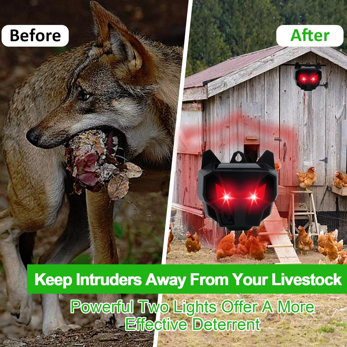Defendy Coyote Deterrent,Solar Nocturnal Animal Repeller Predator Light Scare, Effective Repellent Device for Coyote, Deer, Fox, Raccoon, Skunk, for Chicken Coop, Farm, Yard, Garden (2 Packs)