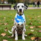 Pai Sence Tie Dye Dog Bandanas Bulk for Dogs 60 Pcs Assorted Size Stitching Dog Bandanas Small Medium Large Mixed Size Bandana Party Grooming