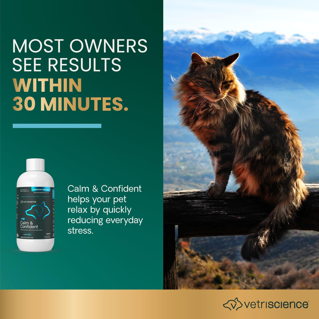 VetriScience Calm & Confident Liquid, Composure Calming and Anxiety Supplement for Dogs and Cats, Reduce Stress and Fear, Ideal for Thunderstorms, Fireworks, Vet & Routine Changes, Unflavored, 8 oz