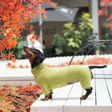 WhaleMire Dachshund Dog Turtleneck Warm Sweater, Winter Clothes, Suitable for Dachshunds (Green, Large)