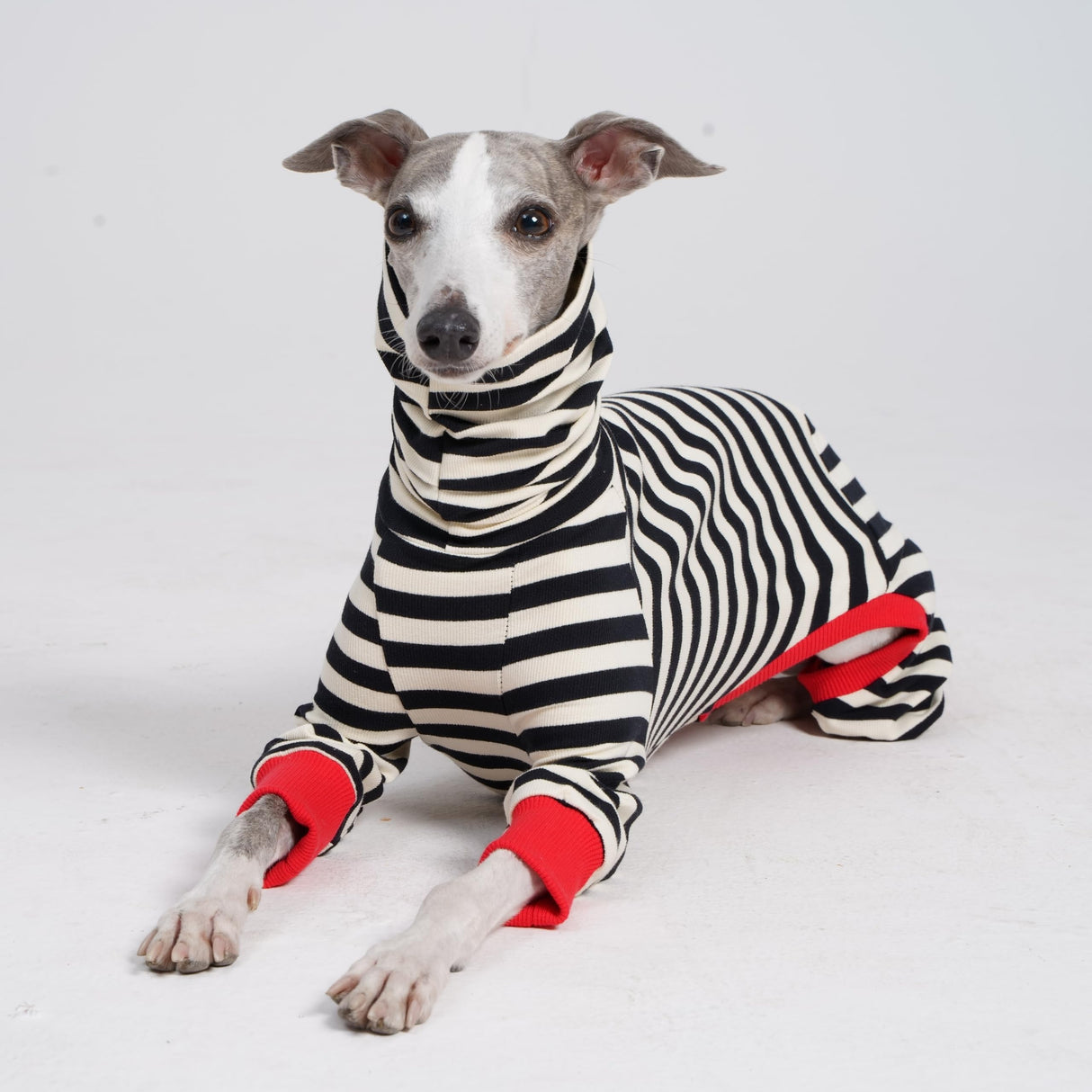 ESCCBOO Italian Greyhound Onesie Clothes, Turtleneck Striped Shirt for Whippets Puppy, Light and Thin Shirt for Spring and Summer (Small)