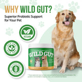 Wild Gut - Natural Probiotic Supplement for Pets | Supports Digestive Health & Gut Microbiome | 8 Probiotic Strains | 1 Bottle