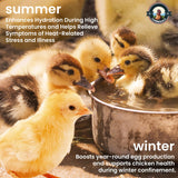 CanineGluca Chick’n Aid, 8 oz Essential Chicken Supplement, Ideal for Hydration, Immunity, Digestive Health. Enhanced with Poultry Vitamins, Electrolytes, and Probiotics, for Chickens, Ducks, Turkeys