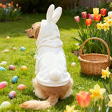 MuYaoPet Dog Easter Bunny Costume with Rabbit Ears & Fluffy Tail,Cute Rabbit Pet Outfit for Small Medium Large Dogs,Warm Plush Halloween Party Puppy Clothes Hoodie Sweater Shirt,5XL