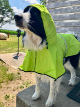 Candofly Dog Raincoat Hooded Poncho - Adjustable Waterproof Dog Rain Jacket Lightweight Reflective Dog Rain Coat Pet Slicker for Small Medium Large Dogs (Small, Green)