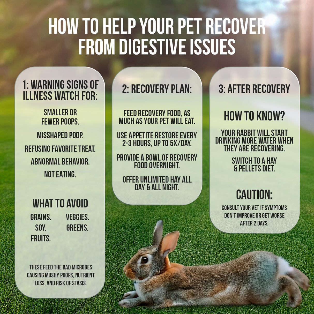 Sherwood Pet Health Rabbit Emergency kit and Bulk Recovery Food (Small kit)