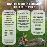 Sherwood Pet Health Rabbit Emergency kit and Bulk Recovery Food (Small kit)
