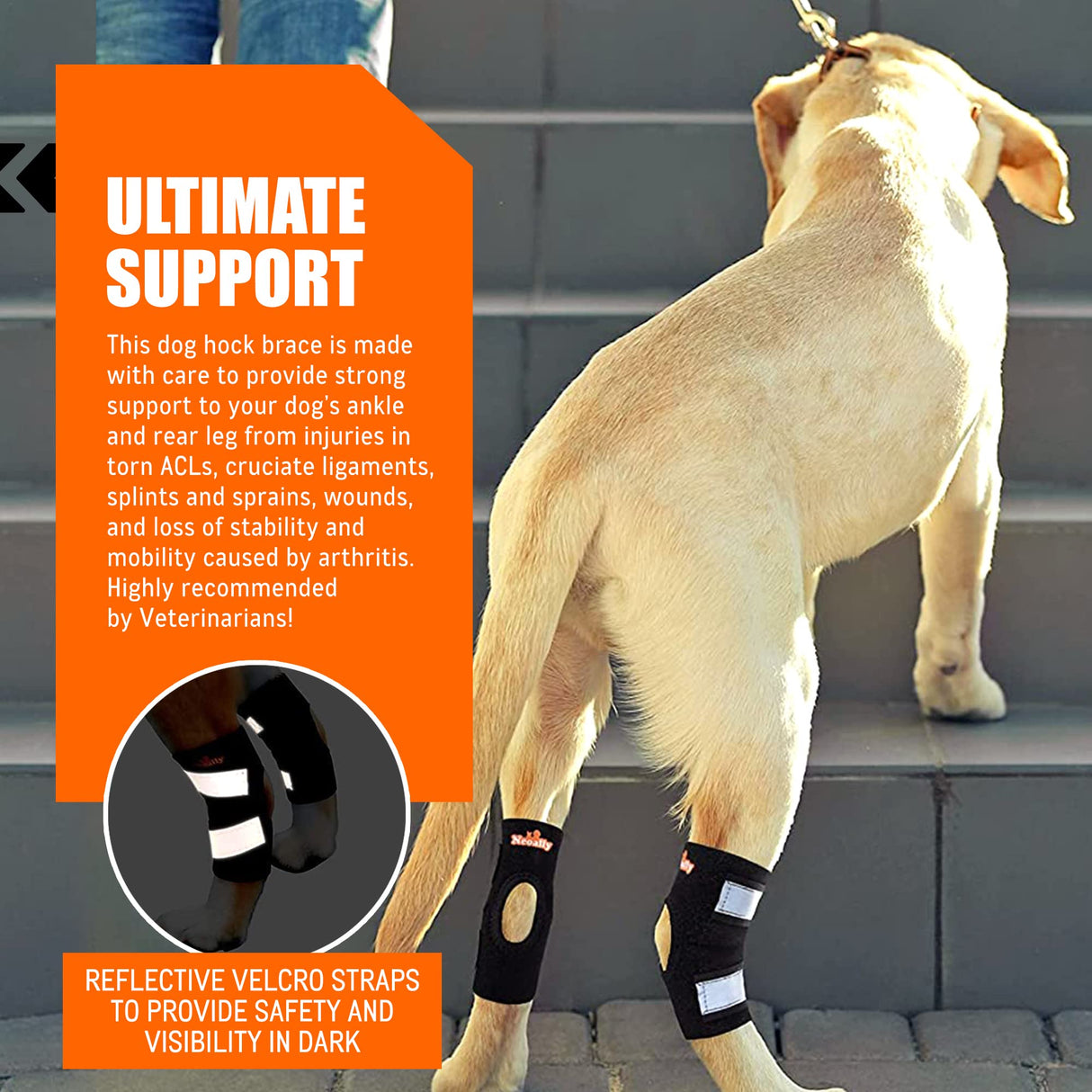 NeoAlly Cat and Dog Ankle Brace Pair Canine Rear Leg Hock Support with Safety Reflective Straps for Hind Leg Wounds Heal and Injuries and Sprains from Arthritis (S Pair)