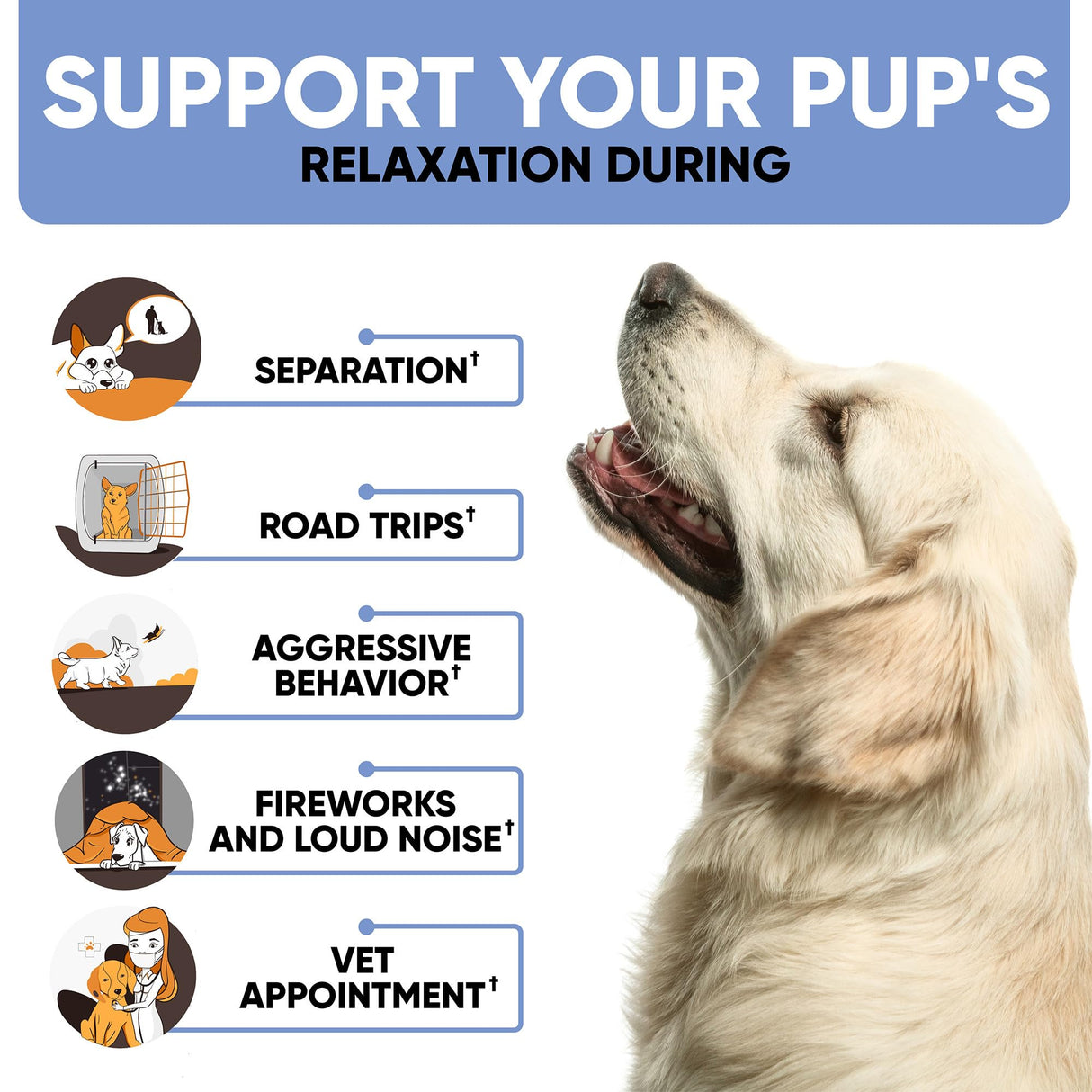 Calming Chews for Dogs with Hemp Oil - Dog Calming Treats with Duck Flavour - Aid During Thunderstorms, Fireworks, Separation, Car Rides - Hemp Dog Treats for Calming Support - 180 Chews