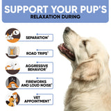 Calming Chews for Dogs with Hemp Oil - Dog Calming Treats with Duck Flavour - Aid During Thunderstorms, Fireworks, Separation, Car Rides - Hemp Dog Treats for Calming Support - 180 Chews
