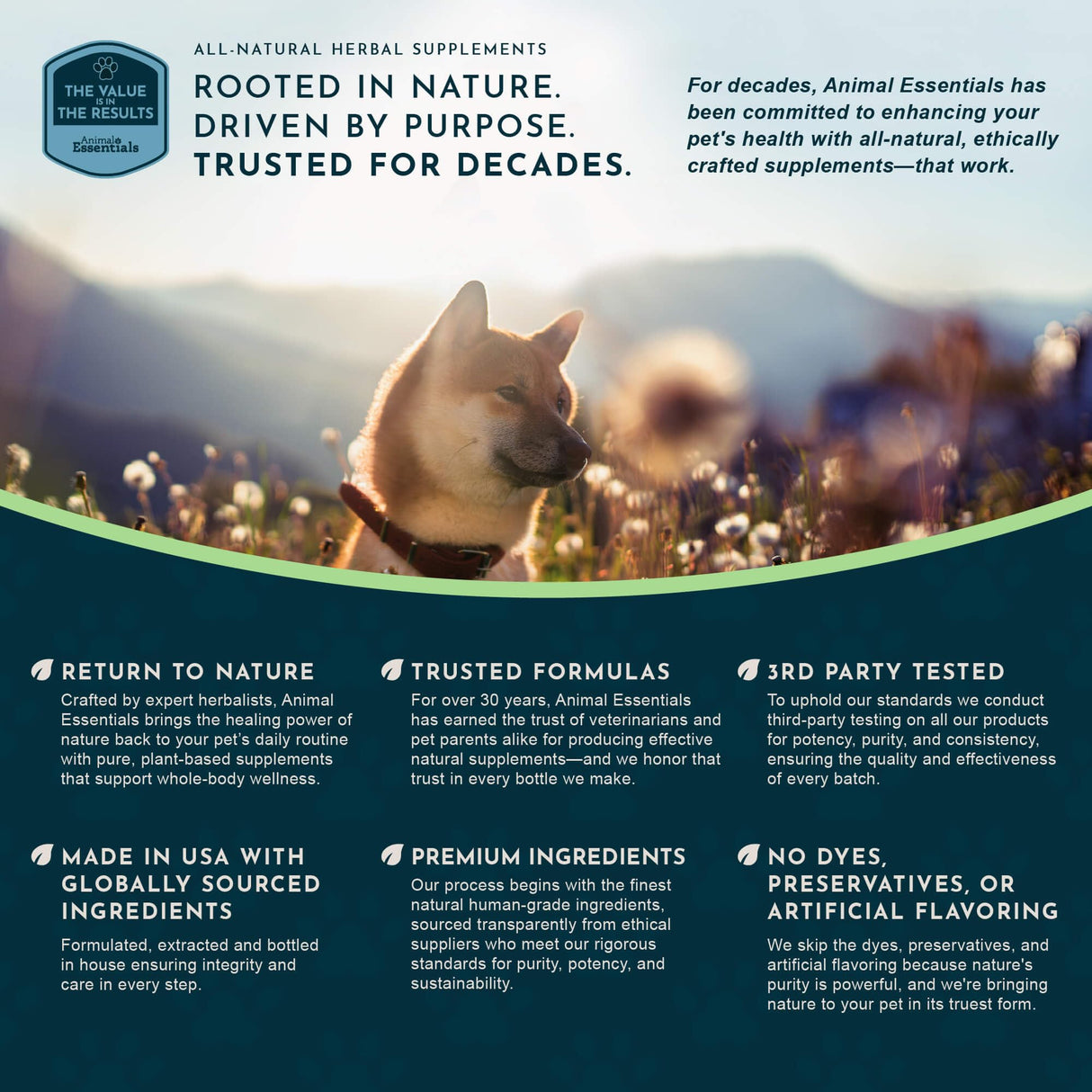 Animal Essentials Yucca - Hip and Joint Yucca Root Supplement for Dogs & Cats, Liquid Herbal Care Drops for Senior Dogs & Older Pets, Bowel & Immune Support, Antioxidant Boost - 1 fl oz