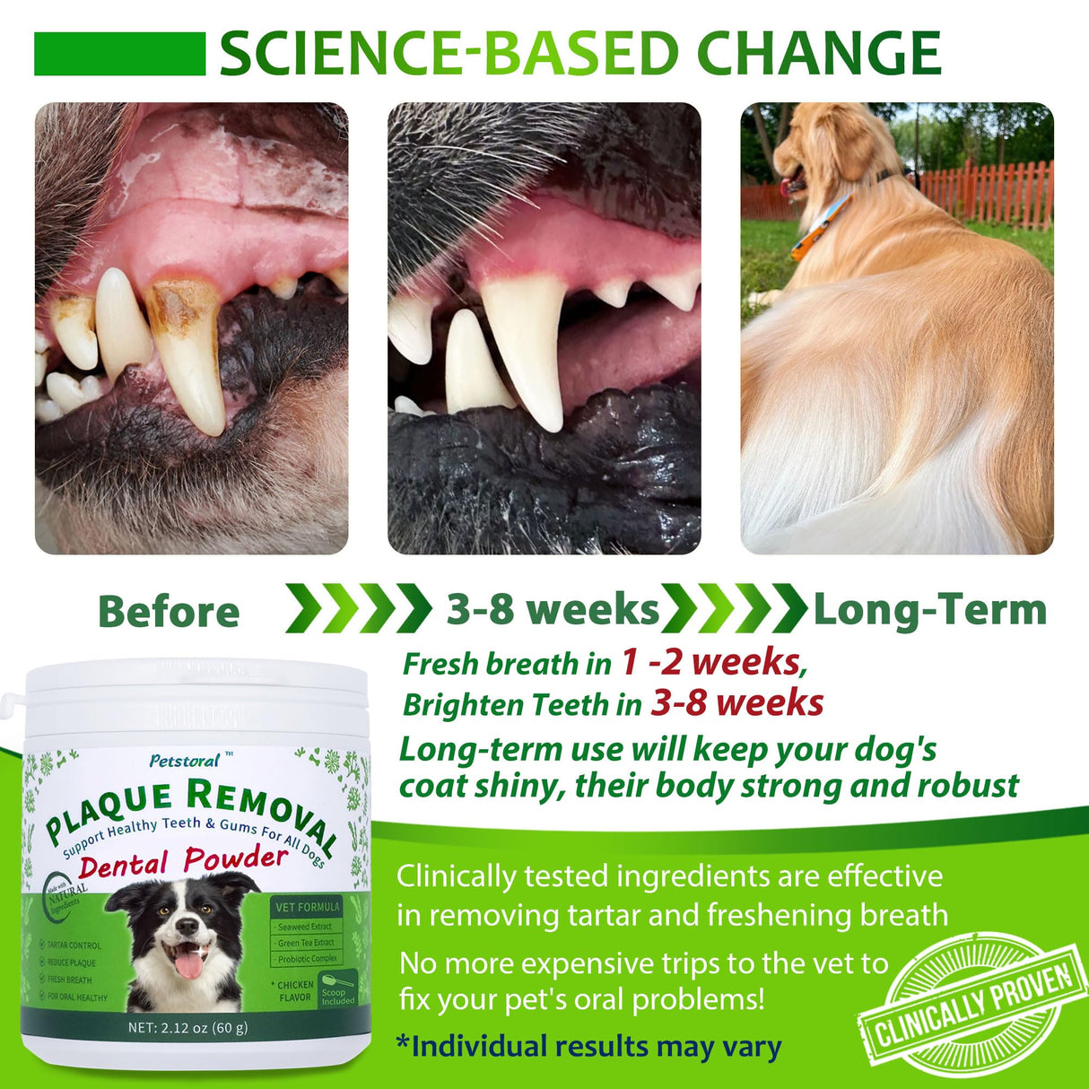 Petstoral Plaque Removal Natural Dental Powder for Cats - Cat Dental Care and Bad Breath Treatment, Chicken Flavour - Cat Teeth Cleaning Powder
